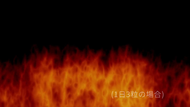 BRAVION S. 増大サプリ 1箱 国内GMP工場製